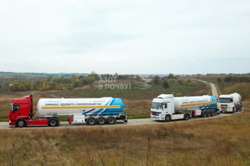 8e6a9872-1